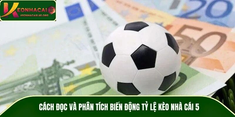 Cách đọc và phân tích biến động tỷ lệ kèo nhà cái 5