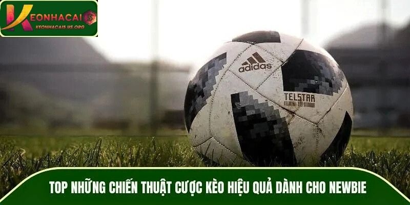 TOP những chiến thuật cược kèo hiệu quả dành cho newbie
