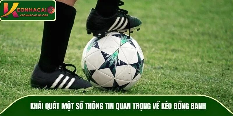 Khái quát một số thông tin quan trọng về kèo đồng banh